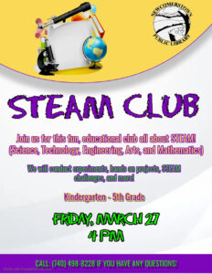 STEAM CLUB @ Library